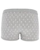 Boxer court gris