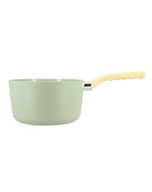 Colorama celadon inductiespannetje - 37,5x20x11 cm