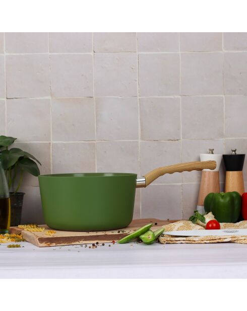 Casserole Colorama induction olive - 37.5x20x11 cm
