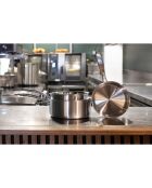 Casserole triply induction grise - 21.5x39x9 cm