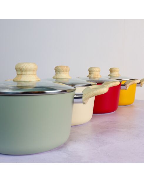 Colorama inductie celadon kookpot met deksel - 34,4x21x12,5 cm