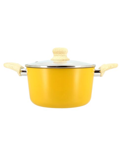 Colorama inductie saffraanstoofpot met deksel - 34,4x21x12,5 cm