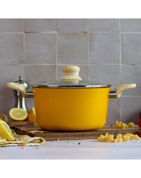 Colorama inductie saffraanstoofpot met deksel - 34,4x21x12,5 cm