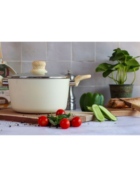 Colorama inductiecrème stoofpot met deksel - 34,4x21x12,5 cm