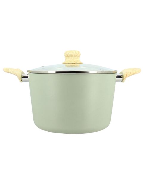 Colorama inductie celadon kookpot met deksel - 38,5x24x15 cm
