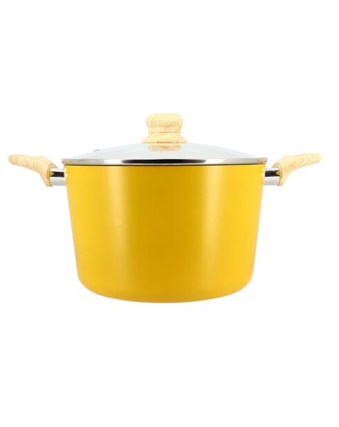 Colorama inductie saffraanstoofpot met deksel - 38,5x25,5x16 cm