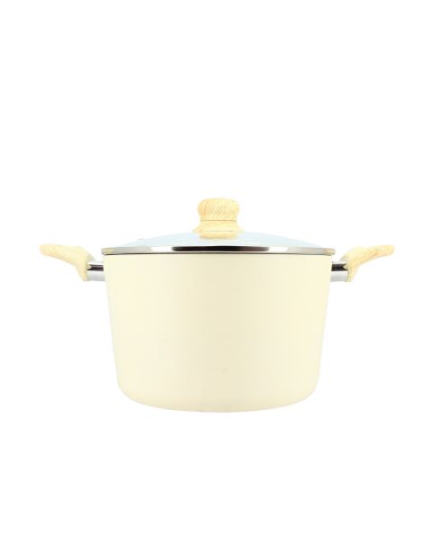 Colorama inductiecrème stoofpot met deksel - 38,5x25,5x16 cm