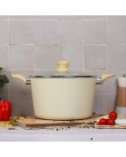 Colorama inductiecrème stoofpot met deksel - 38,5x25,5x16 cm