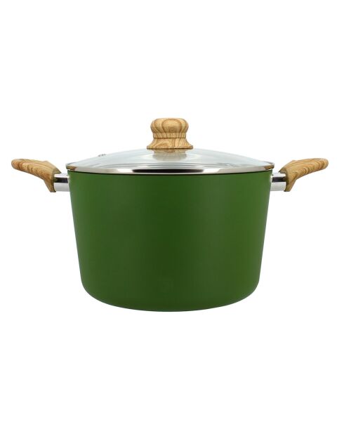 Colorama inductie olijfstoofpot met deksel - 38,5x25,5x16 cm