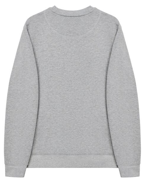 Sweat Rigby Go Sweat B Fl gris vigore