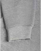 Sweat Rigby Go Sweat B Fl gris vigore