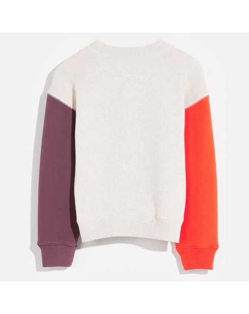 Sudadera Fadol multicolor