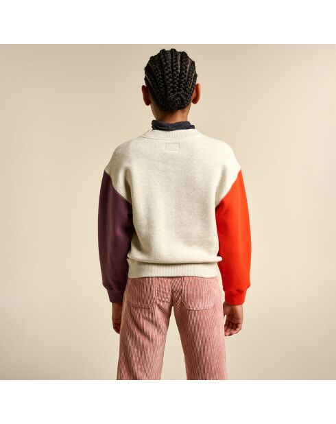 Sudadera Fadol multicolor