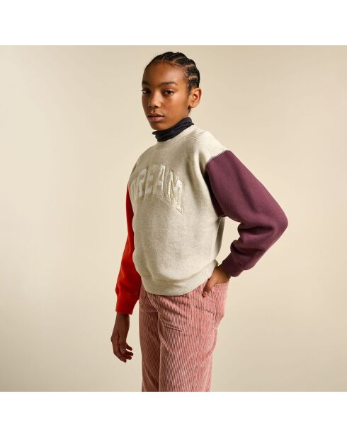 Sudadera Fadol multicolor