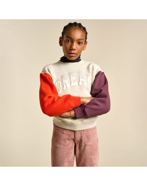 Sudadera Fadol multicolor