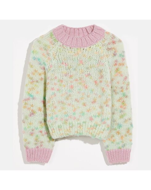 Pull Aumia multicolore