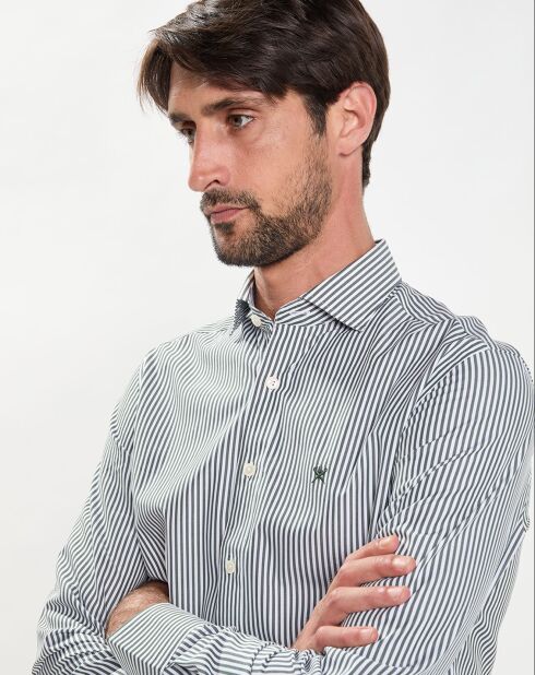 Chemise Slim Fit à rayures vert/blanc