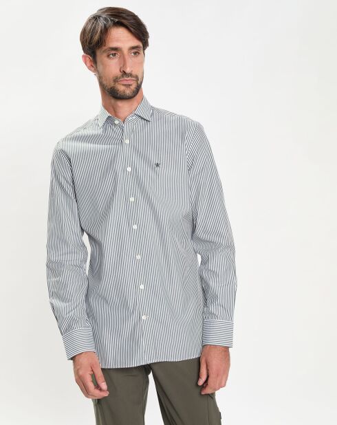 Chemise Slim Fit à rayures vert/blanc