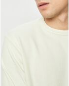 T-Shirt 100% Coton organique Fresh vert