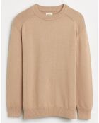 Pull en Maille de coton Rachi col rond camel