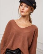 Pull Erjine camel