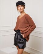 Pull Erjine camel