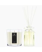 Diffuseur & grande bougie Pearl Jasmin - 1 mèche 75h