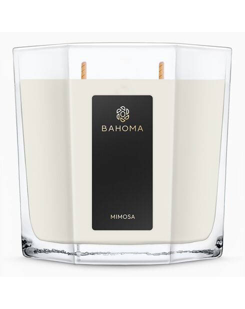 Vela octogonal XL Mimosa - 2 mechas 80h