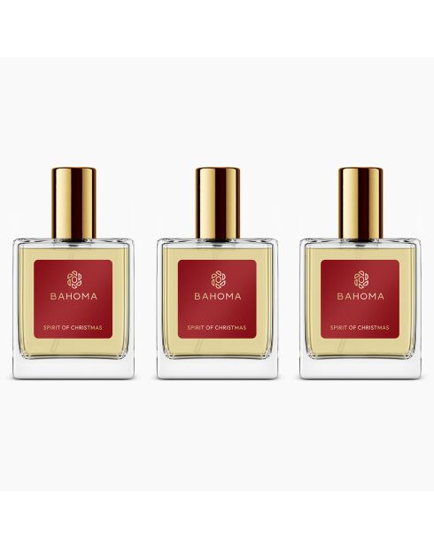 3 Vaporisateurs d'ambiance Esprit de Noel - 50ml