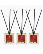 Coffret 3 Diffuseurs Christmas Collection Esprit de Noël - 3x50 ml