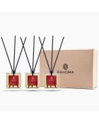 Coffret 3 Diffuseurs Christmas Collection Esprit de Noël - 3x50 ml