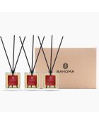 Coffret 3 Diffuseurs Christmas Collection Esprit de Noël - 3x50 ml