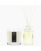 Diffuseur & grande bougie Pearl Raisin & citron vert - 1 mèche 75h