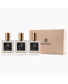 3 Vaporisateurs d'ambiance Noel Noel - 50ml