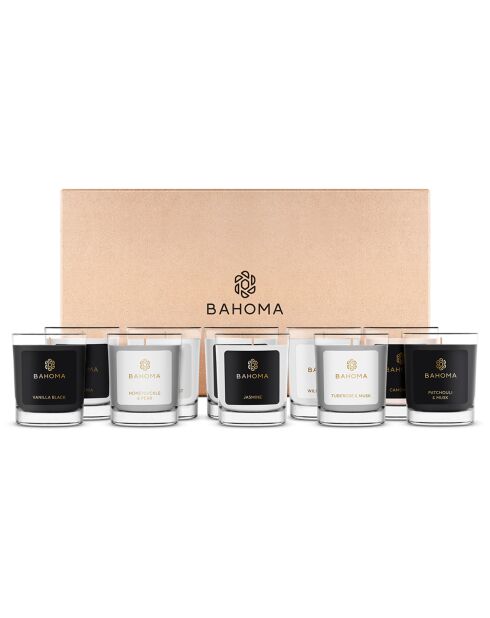 Botanical Bliss Mini-Discovery-Kerzen, 1 Docht, 20 Stunden, 10 Stück