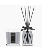 Diffuseur & grande bougie Ash Eucalyptus & Cassis - 1 mèche 75h