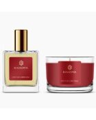 Vaporisateur et bougie de voyage Esprit de Noel - 1 mèche 20h