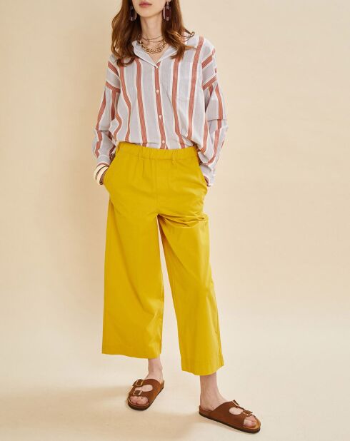 Rosa gestreiftes Darius-Hemd