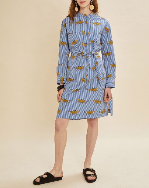 Machablauwe jurk met strepen en patronen