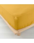 Drap Housse Angelia Gaze de Coton bonnet 30 cm jaune
