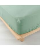 Drap Housse Angelia Gaze de Coton bonnet 30 cm sauge