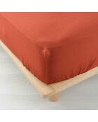 Drap Housse Angelia Gaze de Coton bonnet 30 cm terracotta