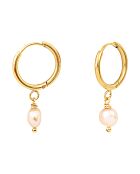 Boucles d'oreilles en Acier plaqué or jaune & Perle de Culture d'eau douce