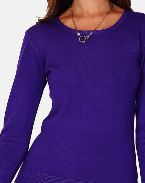 Pull en Cachemire mélangé Lisa violet