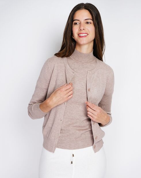 Pull en Cachemire mélangé Sophia col cheminée desert