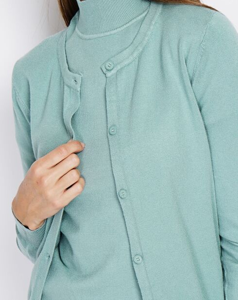 Pull en Cachemire mélangé Sophia col cheminée jade