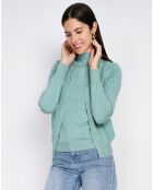 Pull en Cachemire mélangé Sophia col cheminée jade