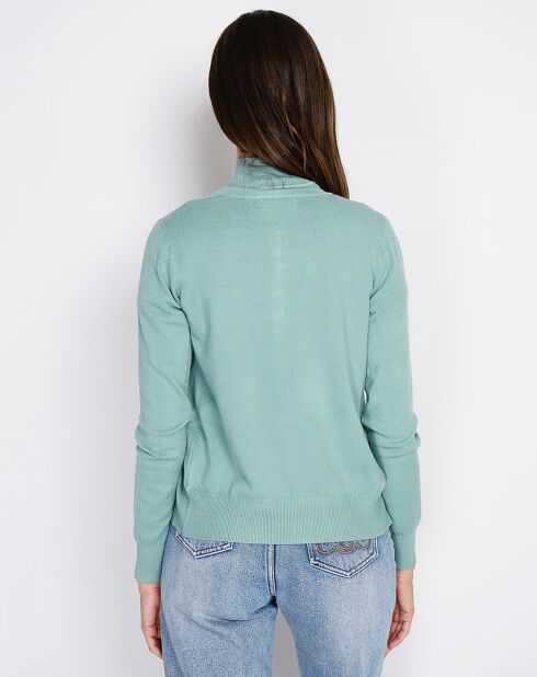 Pull en Cachemire mélangé Sophia col cheminée jade