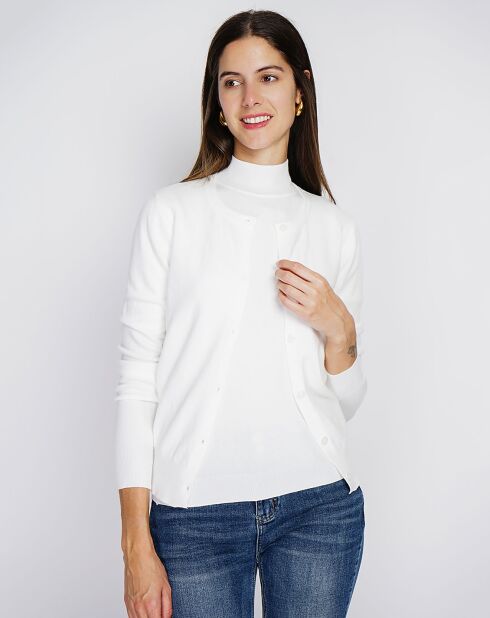 Pull en Cachemire mélangé Sophia col cheminée naturel