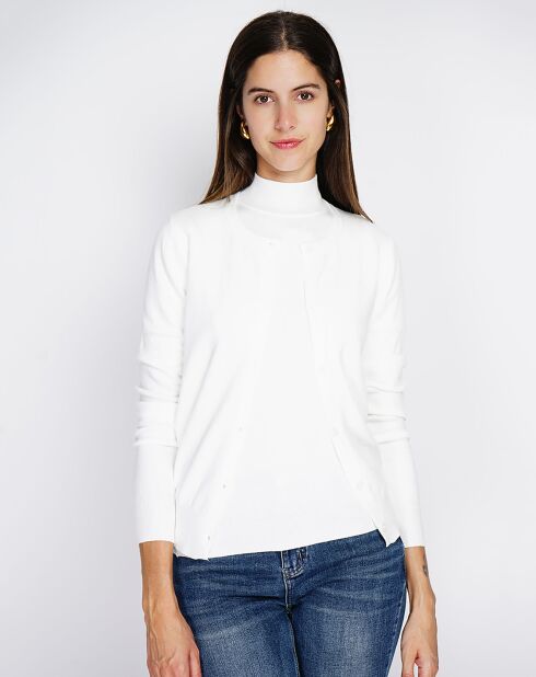 Pull en Cachemire mélangé Sophia col cheminée naturel